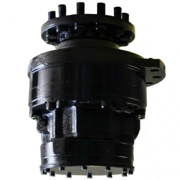 Caterpillar 096-4366 Hydraulic Final Drive Motor