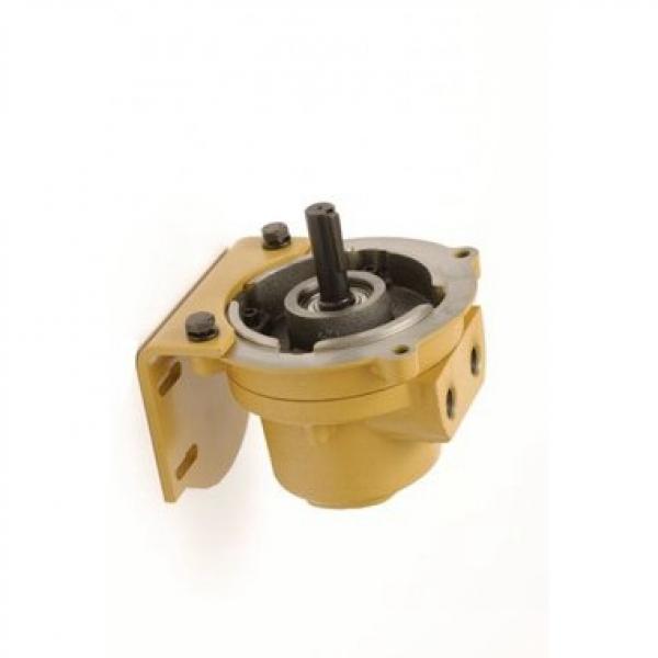 Ingersoll Rand 13320551 Reman Hydraulic Final Drive Motor #1 image